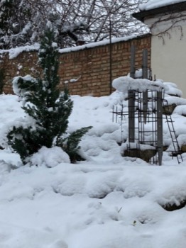   - 15 